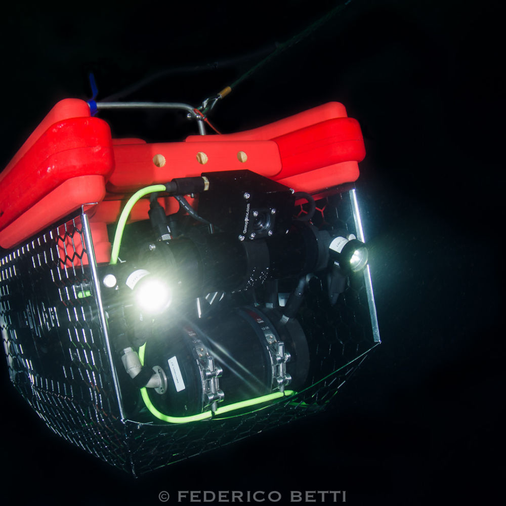 Il ROV durante la risalita